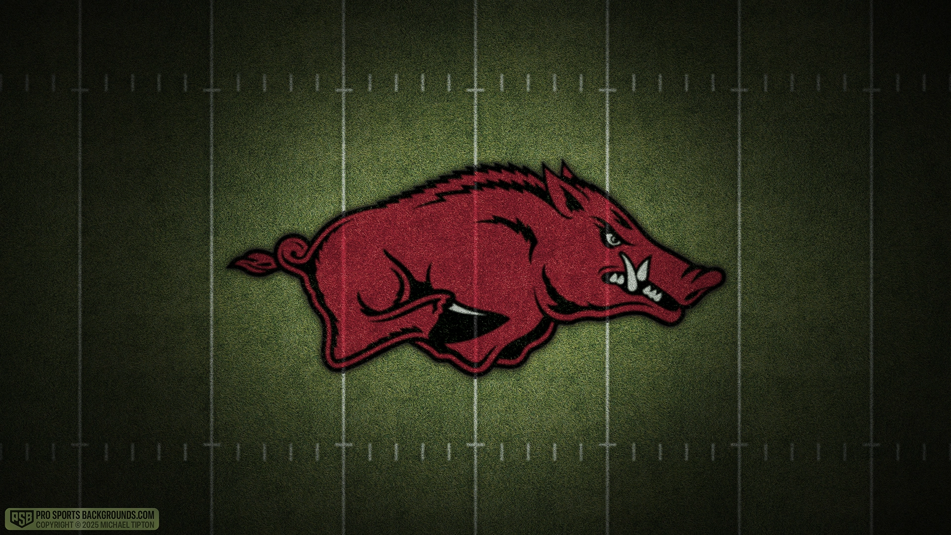 Arkansas Razorbacks wallpaper logo desktop college football 2025 season webp downsized