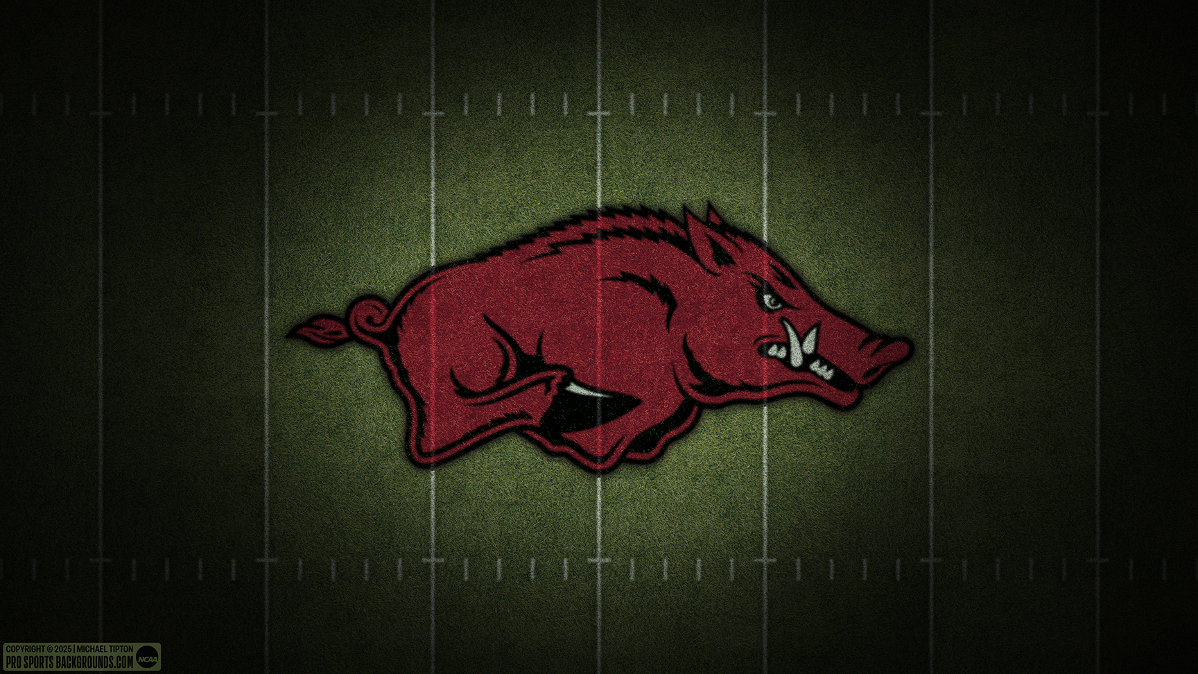 Arkansas Razorbacks wallpaper logo desktop college football 2025 thumb