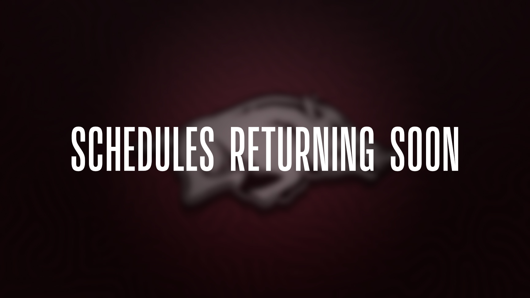Arkansas Razorbacks wallpaper schedule desktop NCAA placeholder 2024 thumb
