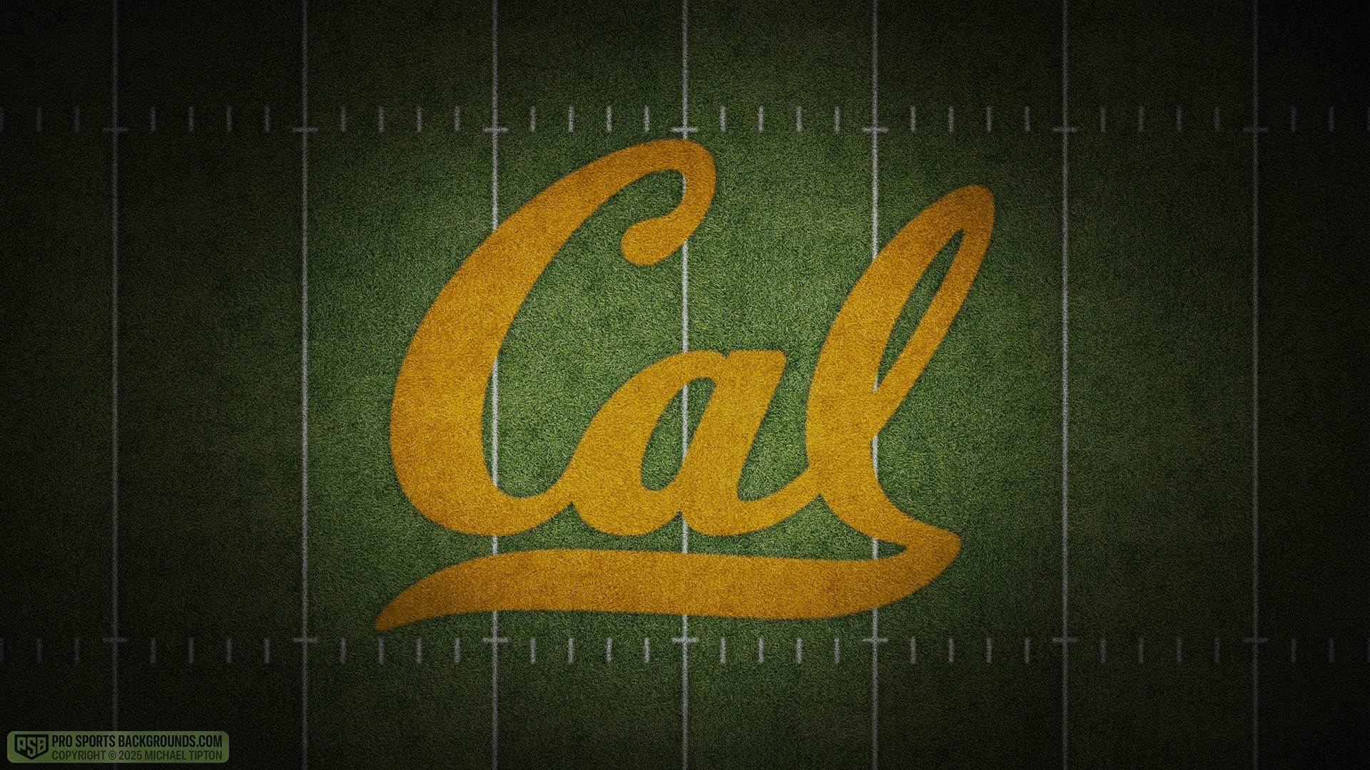California Golden Bears wallpaper logo desktop college football 2025 season webp downsized
