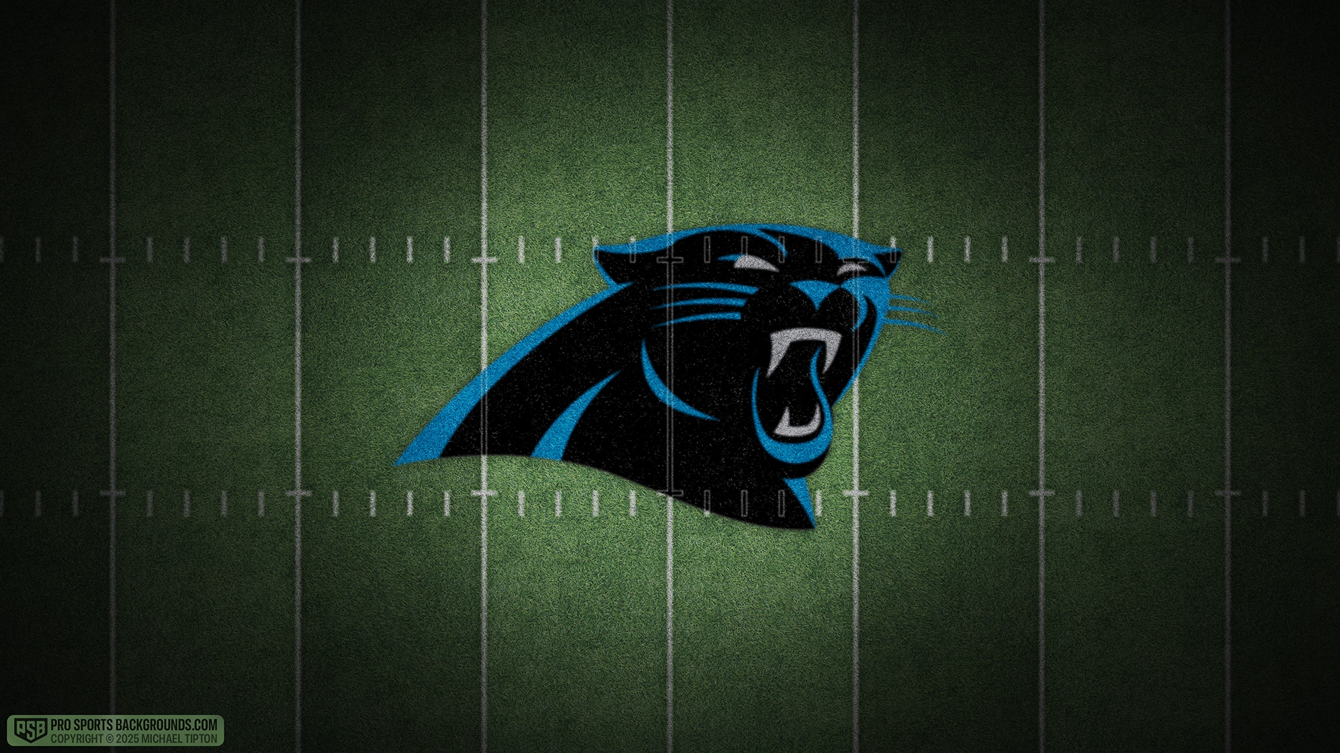 Carolina Panthers wallpaper logo desktop NFL 2025 webp