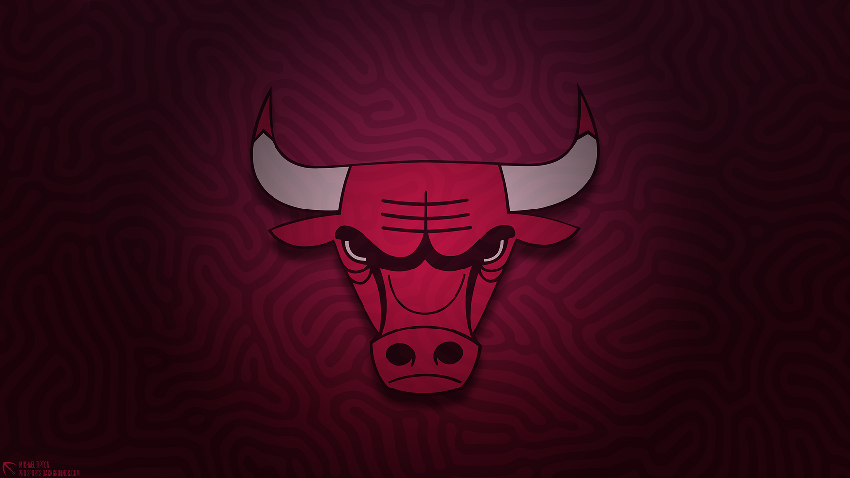 Cicada 2025 Chicago Bulls Lenna Stacee
