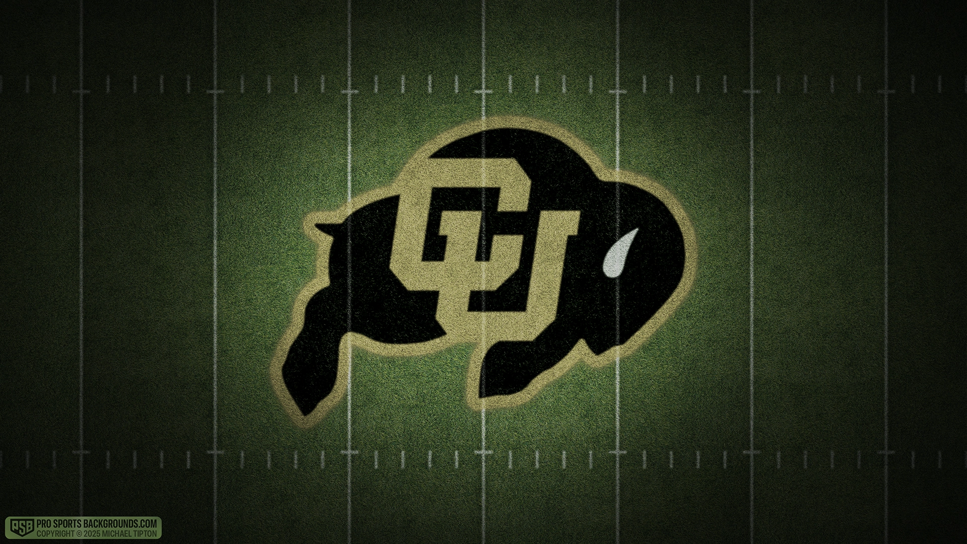 Colorado Buffaloes wallpaper logo desktop college football 2025 season webp downsized