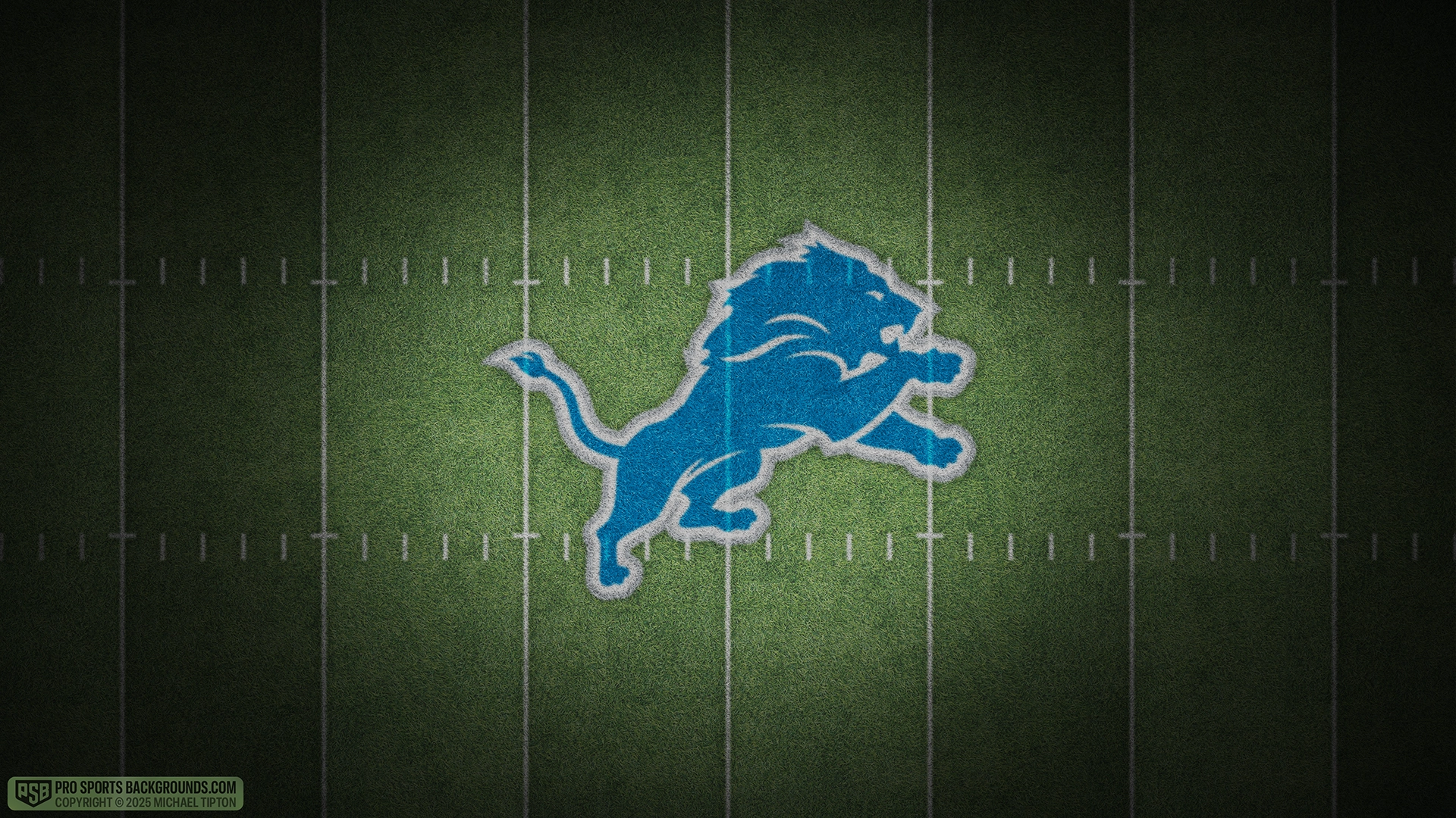 Detroit Lions wallpaper logo desktop NFL 2025 webp