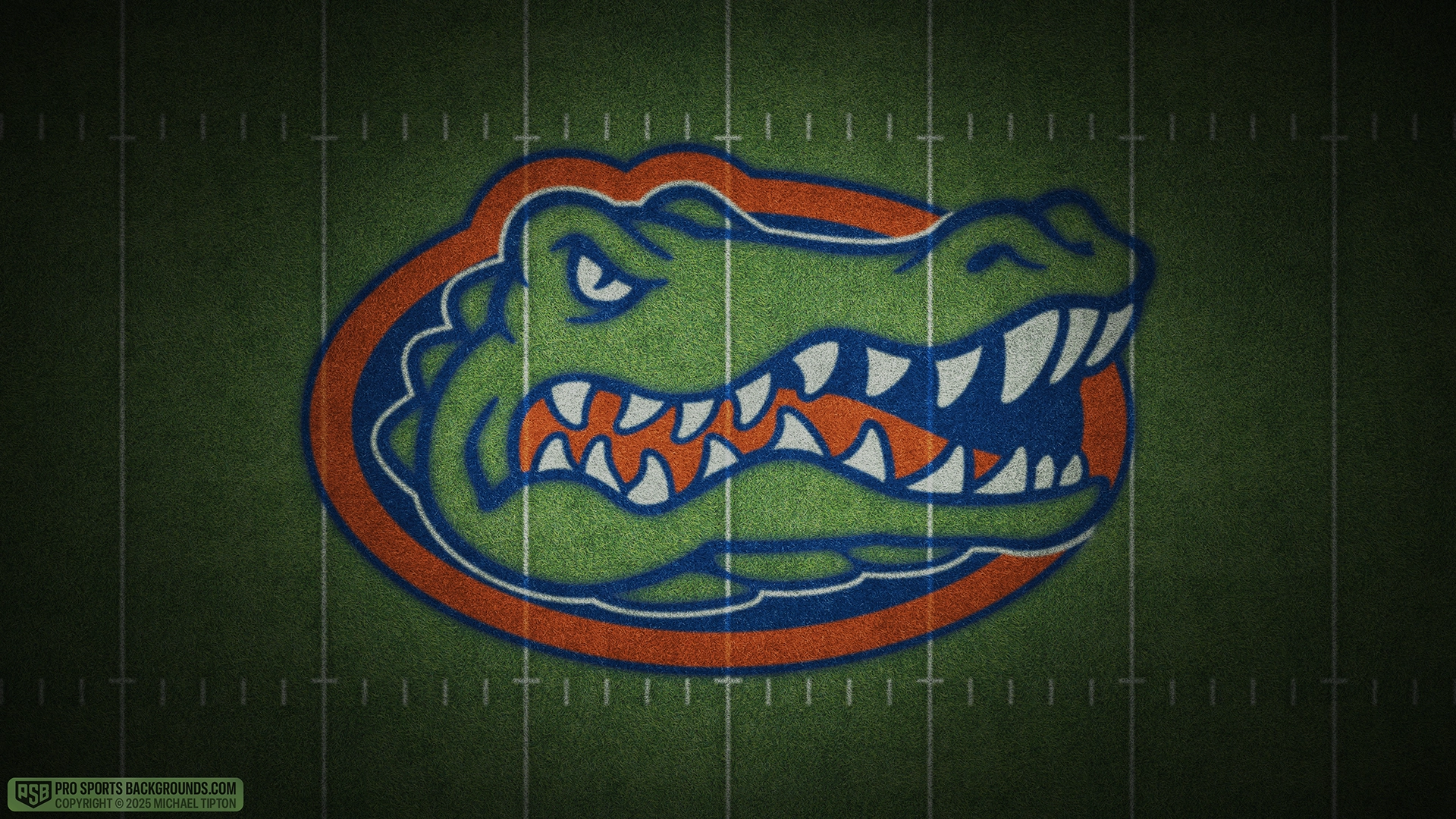 Florida Gators wallpaper logo desktop college football 2025 season webp downsized