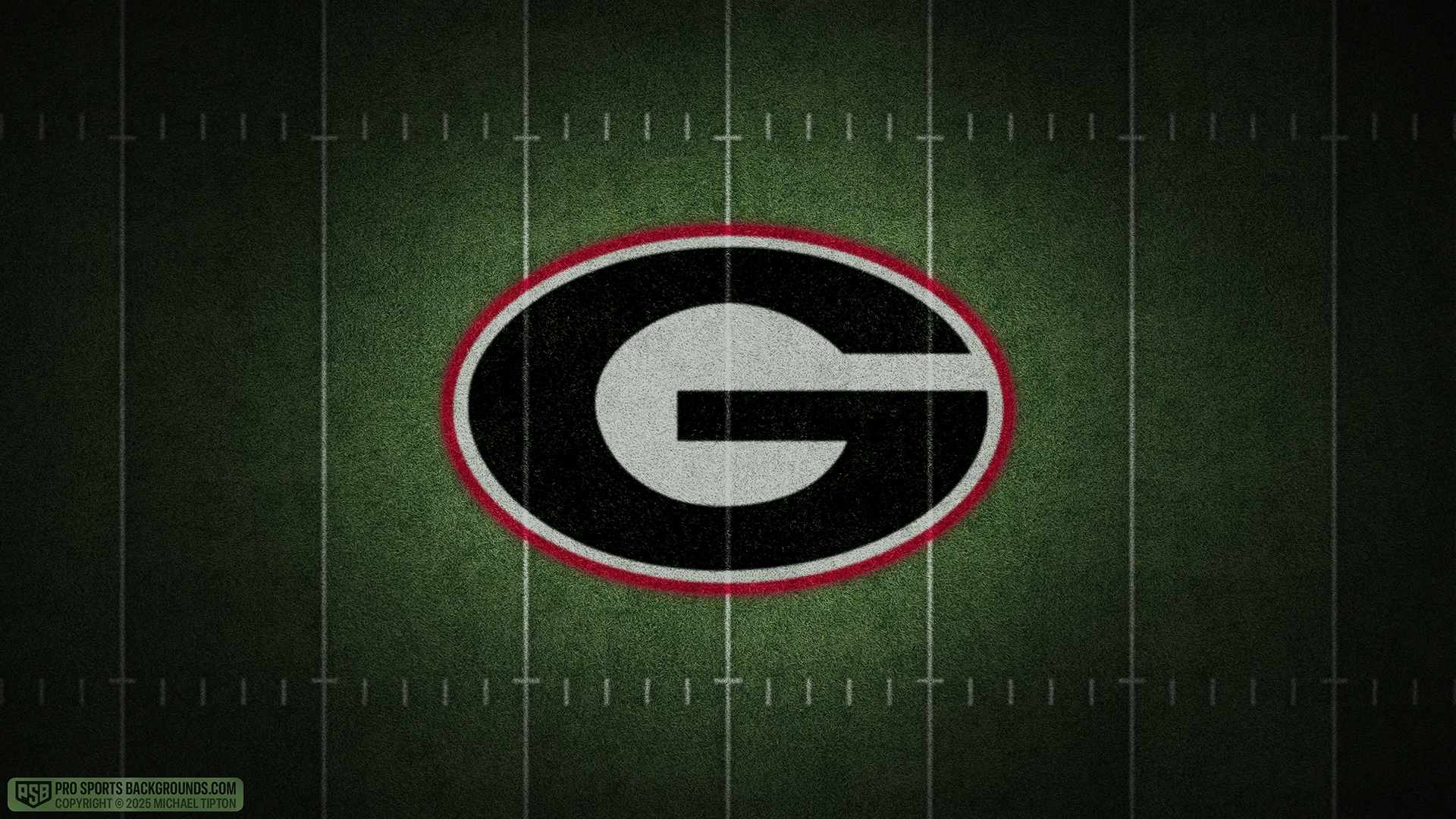Georgia Bulldogs wallpaper logo desktop college football 2025 season webp downsized