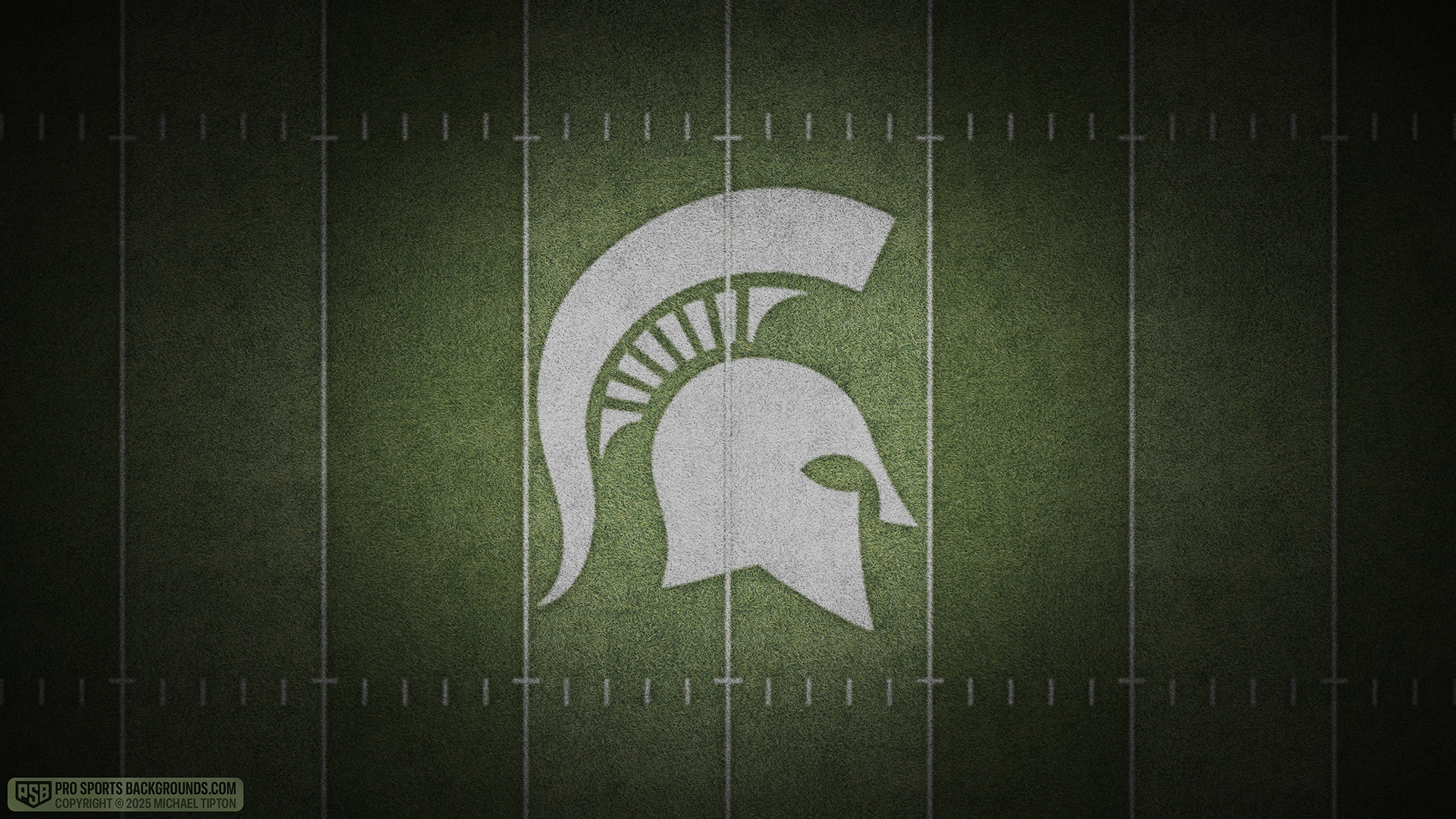 Michigan State Spartans wallpaper logo desktop college football 2025 season webp downsized