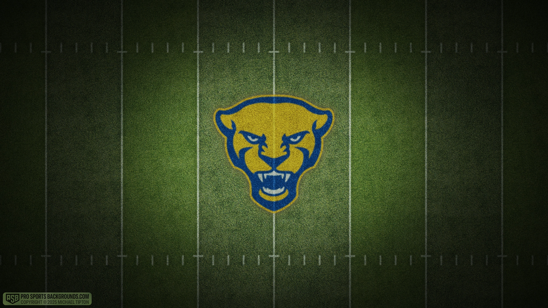 Pittsburgh Panthers wallpaper logo desktop college football 2025 season webp downsized