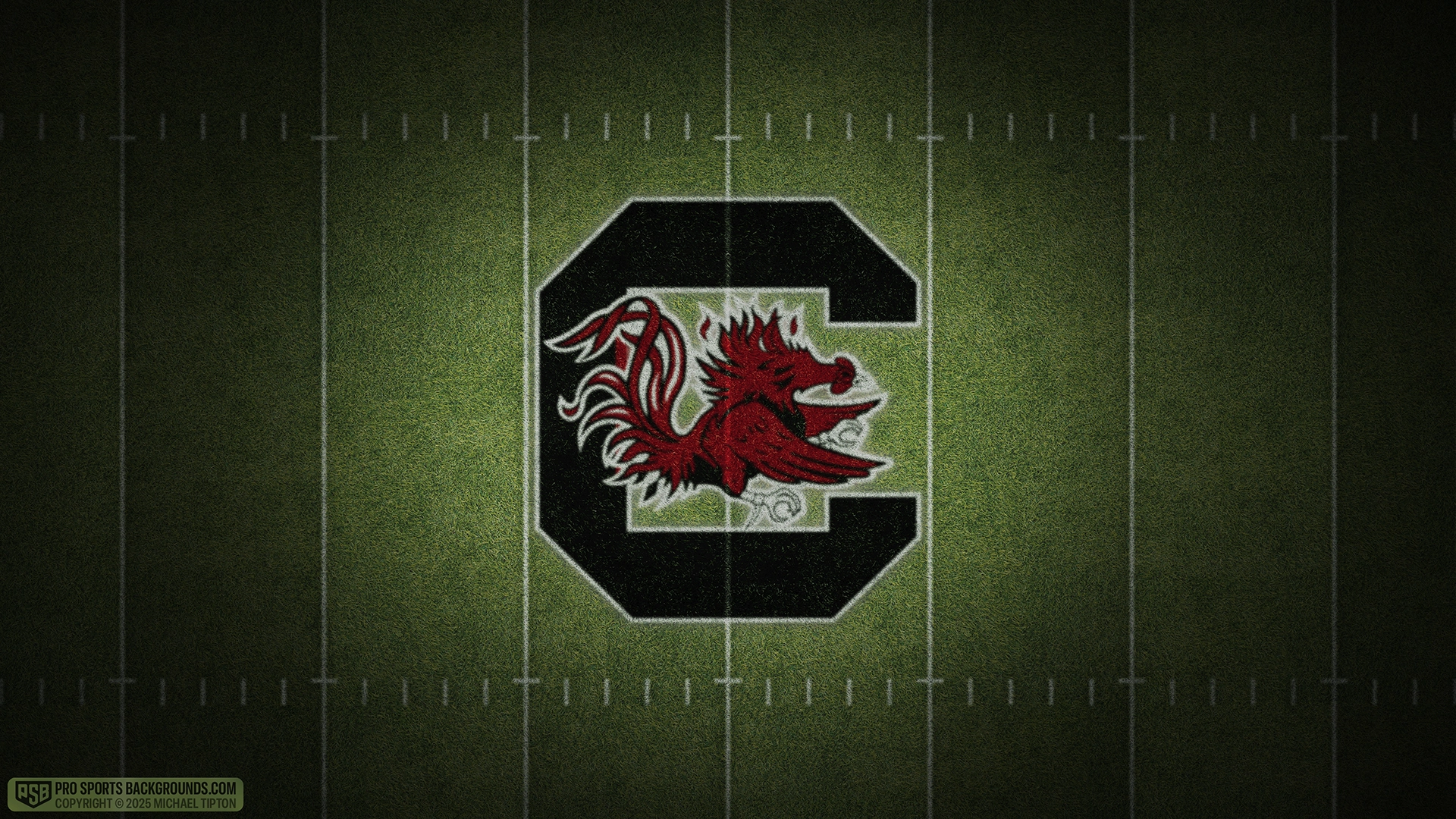 South Carolina Gamecocks wallpaper logo desktop college football 2025 season webp downsized