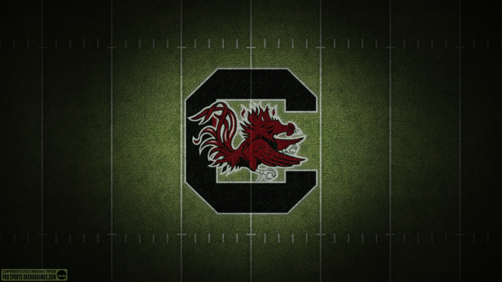 South Carolina Gamecocks wallpaper logo desktop college football 2025 thumb