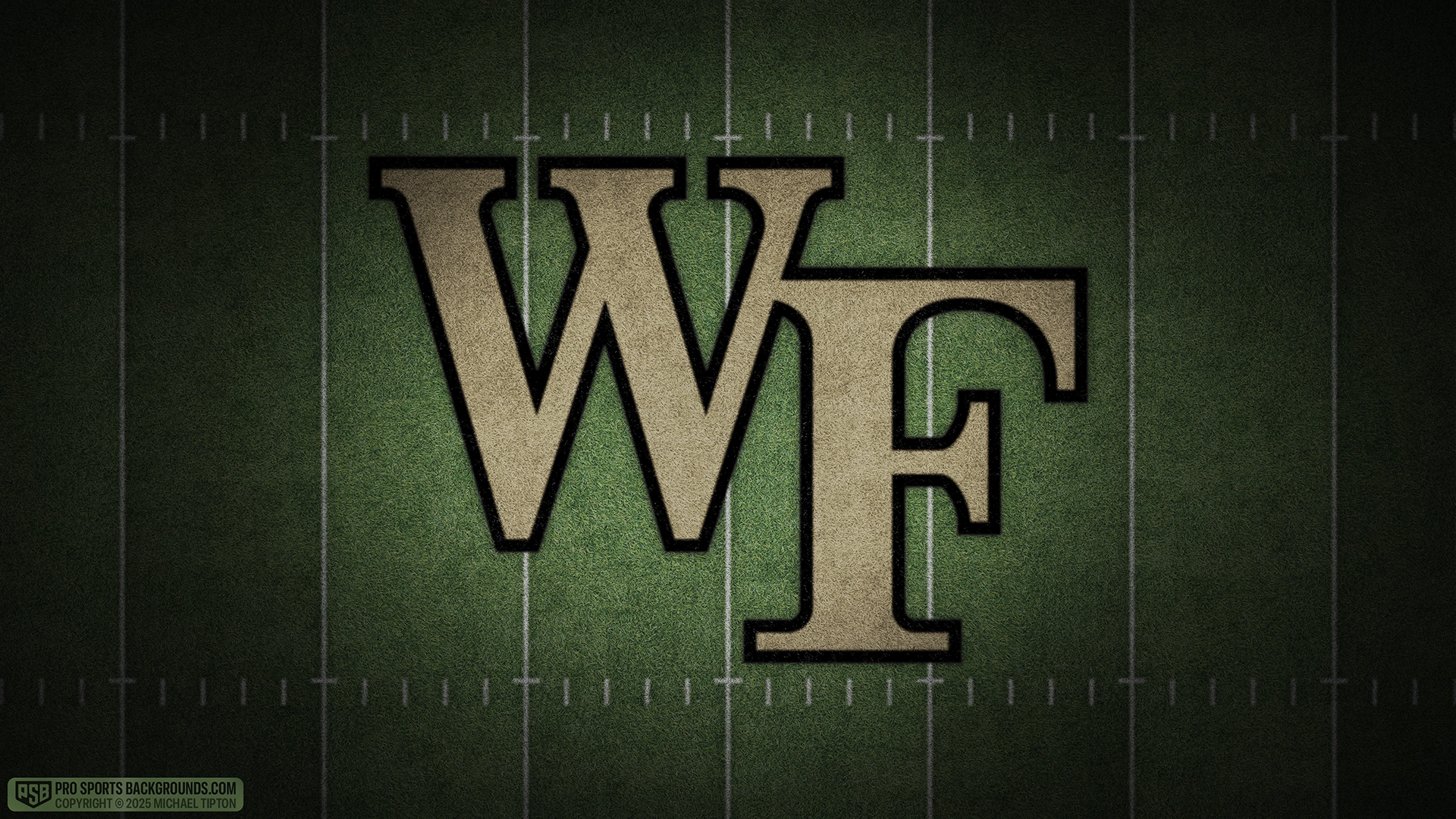 Wake Forest Demon Deacons wallpaper logo desktop college football 2025 season webp downsized