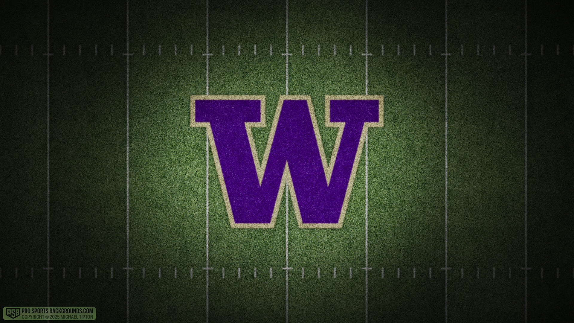 Washington Huskies wallpaper logo desktop college football 2025 season webp downsized