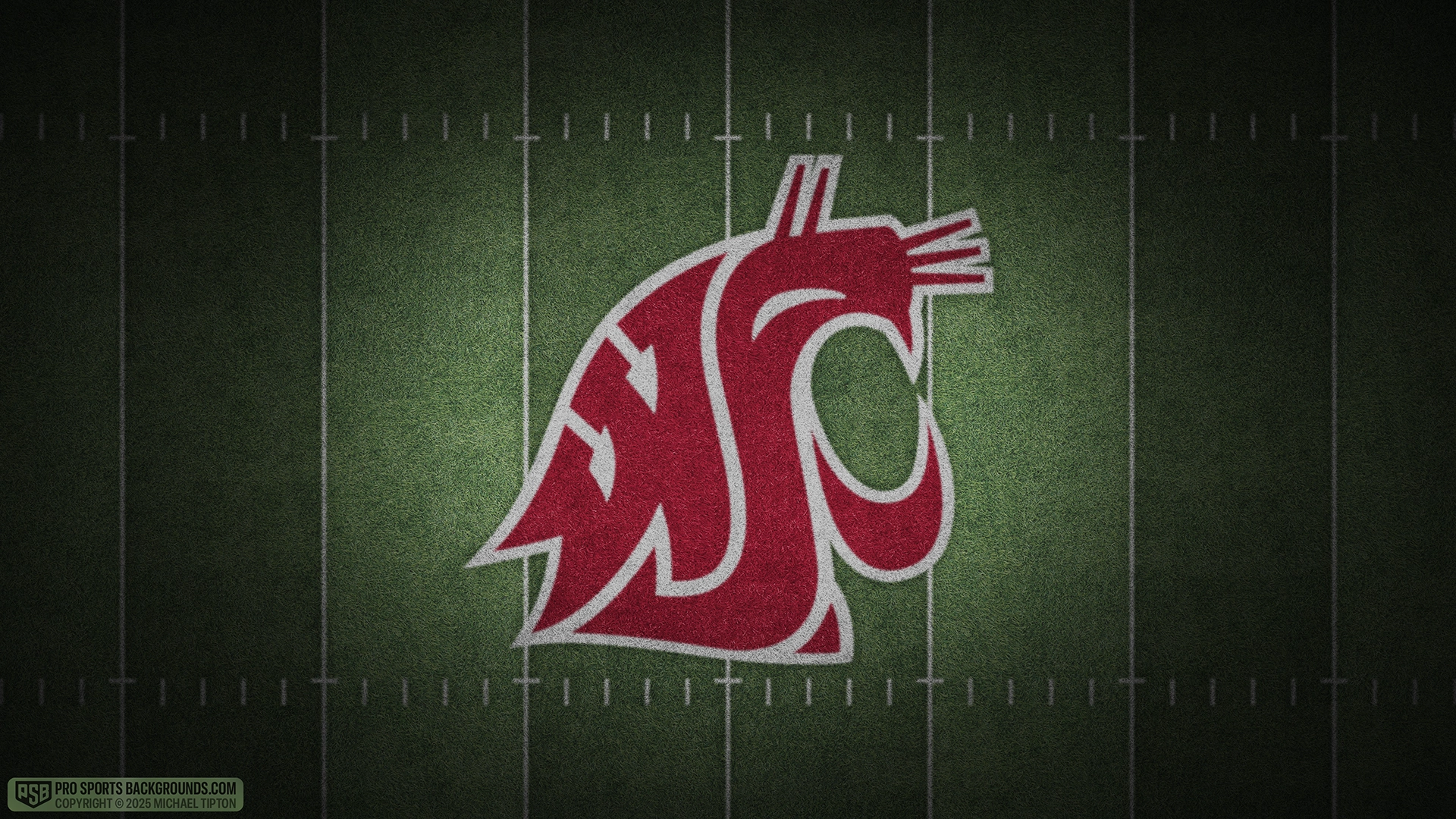Washington State Cougars wallpaper logo desktop college football 2025 season webp downsized
